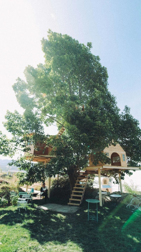 image006.jpg